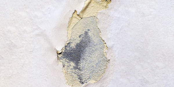 Pintar Fachadas de Empresas / Negocios / Locales Comerciales Pozuelo de Alarcón · Impermeabilización de Filtraciones de Agua y Humedad