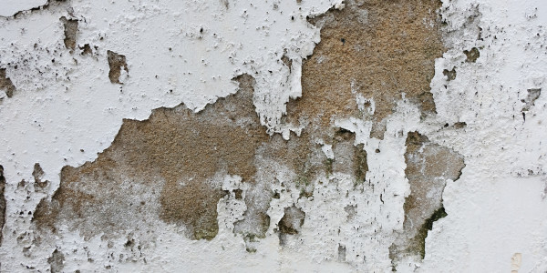 Pintar Fachadas de Empresas / Negocios / Locales Comerciales Pozuelo de Alarcón · Pintura Antihumedad / Antimoho para Humedades / Moho