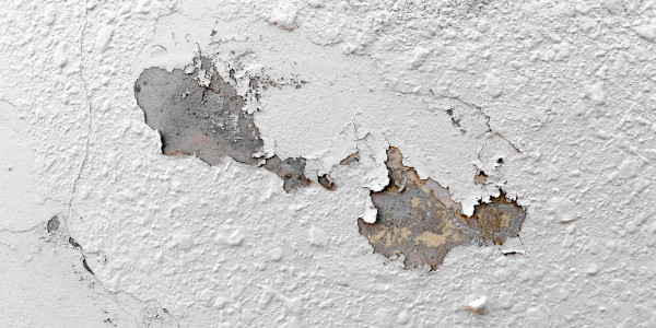 Pintar Fachadas de Naves Industriales, Fábricas y Almacenes Alcobendas · Pintura Antihumedad / Antimoho para Humedades / Moho